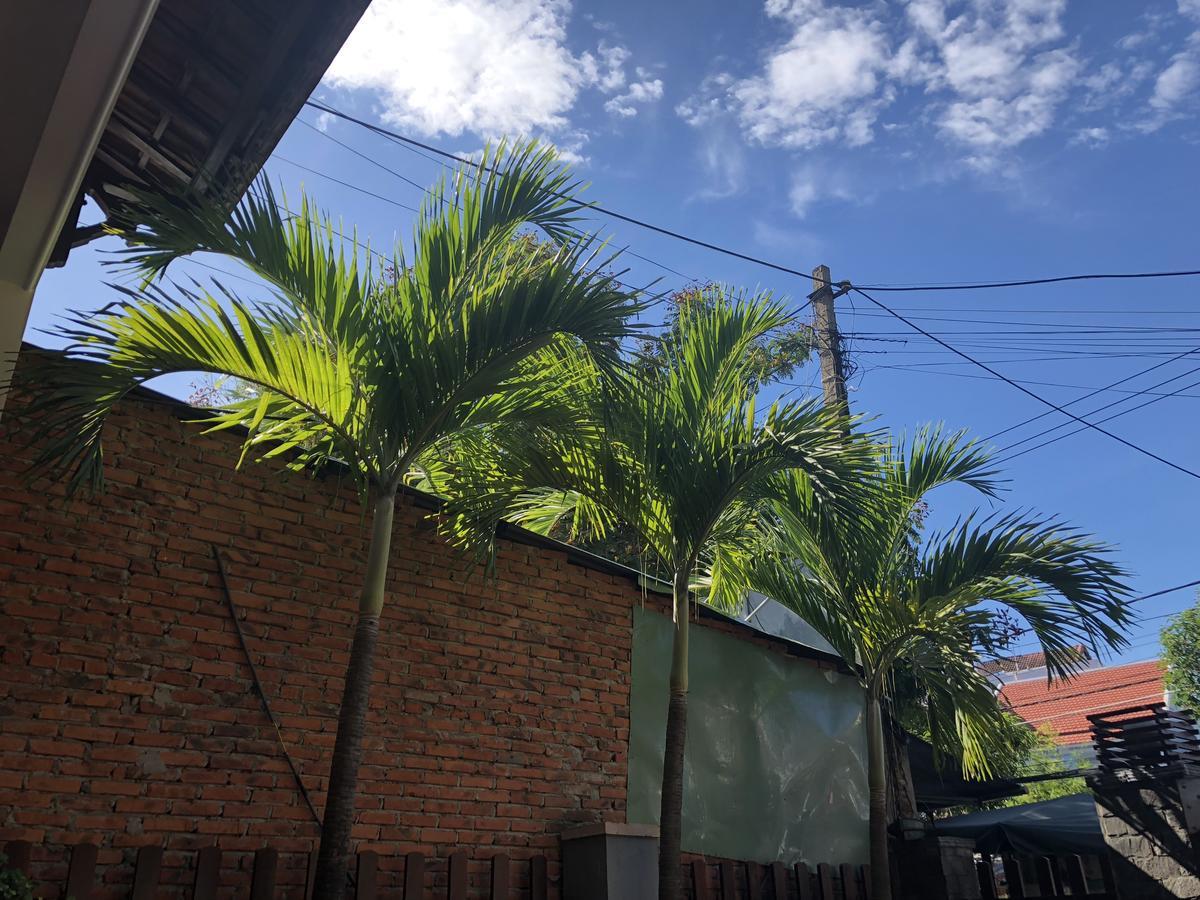 Three Palms Homestay Hoi An Exteriér fotografie